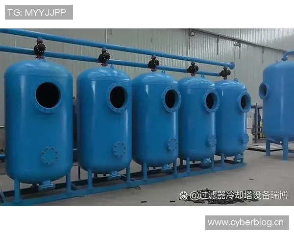 如何高效清洁泳池保持水质清澈以及延长池水使用寿命的实用技巧